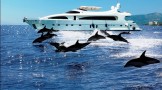 Motor yacht GRACE KELLY